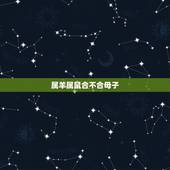 属羊属鼠合不合母子，属兔和什么属相最配