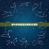 属牛的和属鼠的婚配合适吗，属牛的好什么属相相配啊？