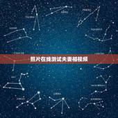 照片在线测试夫妻相视频，求一款可以模拟一个和你有夫妻相的人的软件