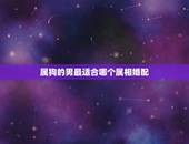 属狗的男最适合哪个属相婚配，属狗的男人和什么属相最配