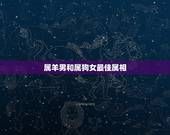 属羊男和属狗女最佳属相，男的属羊和女的属狗生个什么属相最好