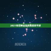 2021年芒种出生的男孩好不好，2021年二月二出生的男孩命运