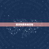 属虎和属兔谁压谁，属虎和属兔的合作事业