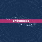 室内镇宅辟邪的绿植，哪些绿植，可以很好地净化室内空气？