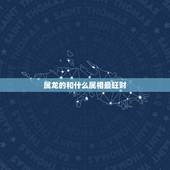 火命人什么时辰出生好，九紫火运对火旺的人