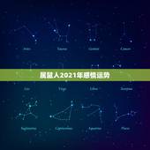 属鼠人2021年感情运势，2021属鼠人全年运势女