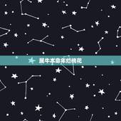 属牛本命年烂桃花，属牛本命年运势