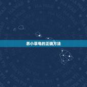 养小草龟的正确方法，如何正确的养普通小乌龟（急需）