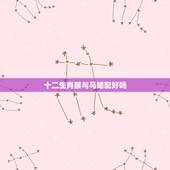 十二生肖猴与马婚配好吗，男女属相婚配，男马女猴的婚配怎么样