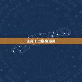 正月十二鼠兔运势，属兔的人2012年运势