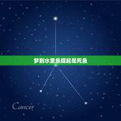 梦到水里鱼捉起是死鱼，梦到在水里抓鱼，可抓上来都是死鱼，也看到有几条活