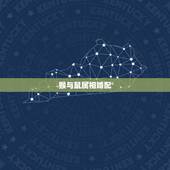 猴与鼠属相婚配，属鼠的和什么属相最配 属鼠的属相婚配表