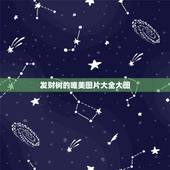 发财树的唯美图片大全大图，金边发财树图片