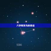 八字有双马的命运，生辰八字五行查询