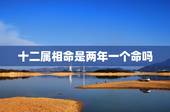 十二属相命是两年一个命吗，十二生肖不同年份出生都是什么命