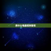 养什么龟最招财镇宅，风水一般家里养什么乌龟好？就是风水好的那种。