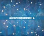 属鼠男的更佳配偶属相是什么，生肖属鼠的和什么相配