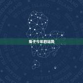 兔子今年的运势，2021属兔人全年运势1987