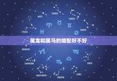 属龙和属马的婚配好不好，龙与马的婚姻命运如何