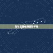 兔与鼠属相婚配好不好，兔子和老鼠的属相合适吗