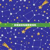 家里挂羽毛画有忌讳吗，家里玄关处可以挂羽毛画吗？