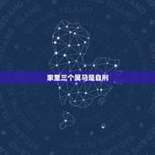 家里三个属马是自刑，家里3个属马的好吗