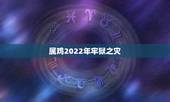 属鸡2022年牢狱之灾，2022 年生肖运势完整版