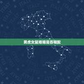 男虎女鼠婚姻是否相配，女属鼠和男属虎的婚姻怎样