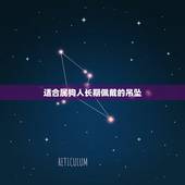 适合属狗人长期佩戴的吊坠，1982年属狗2022 年运势