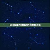 请问属龙的和属马的相配怎么样，属龙和属蛇的相配吗