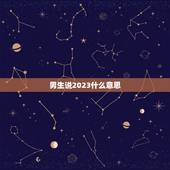 男生说2023什么意思，2023的爱情寓意