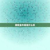 属蛇金牛座是什么命，金牛座是什么命
