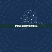 女鸡和男兔的婚配好吗？属兔和属鸡的相配吗？男兔＋女鸡