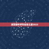 清宫图怀孕月份怎么算2023，清宫图的年龄怎么计算的