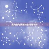 属狗的与属猪的合婚好不好，九四属狗的是什么命