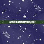 属猪和什么属相做生意合得来，属猪的人和属什么属相的人做生意比较合适