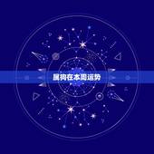 属狗在本周运势，属狗今年运势如何