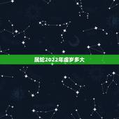 属蛇2022年虚岁多大，2022年出生的虎宝宝几月更好