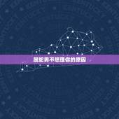 属蛇男不想理你的原因，属蛇男人讨厌你的表现