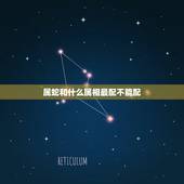 属蛇和什么属相最配不能配，属蛇的和什么属相最配