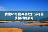 我是61年属牛的取什么样的属相对我最好，61年属牛终身三大坎
