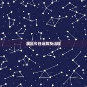 属鼠今日运势及运程，2010年属鼠运势运程