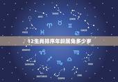 12生肖排序年龄属兔多少岁，12生肖排序年龄表