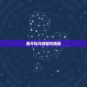 属牛和马相配吗婚姻，牛和马相配婚姻如何