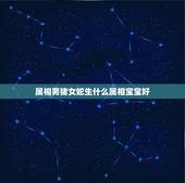 属相男猪女蛇生什么属相宝宝好，属相婚配：男属猪和女属蛇相配吗