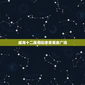 威海十二属相街家家美食广场，威海美食