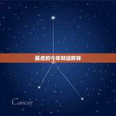 属虎的今年财运咋样，74年属虎女未来十年大运