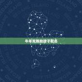 牛年双胞胎孩子取名，属牛的人取名字带什么好