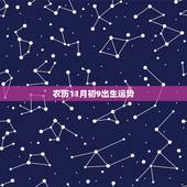 农历11月初9出生运势，1988年的农历11月初九出生的人的爱情运势