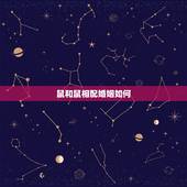 鼠和鼠相配婚姻如何，1996属鼠的三大坎